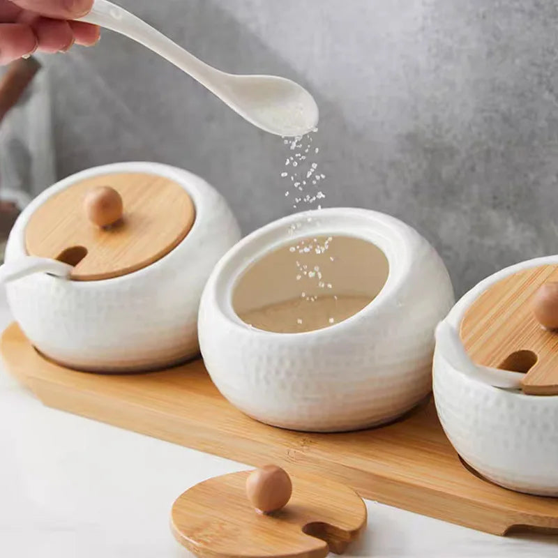 Ceramic Seasoning Jar Set with Lids & Spoons